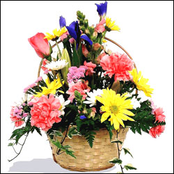 "Blooming Love - Click here to View more details about this Product